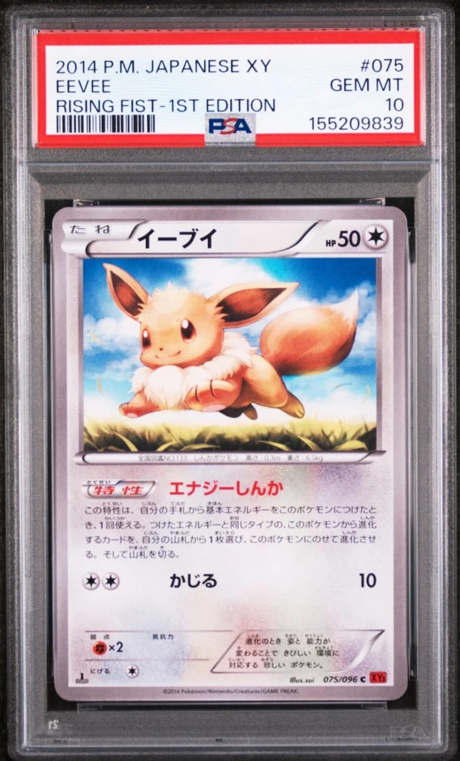 Eevee