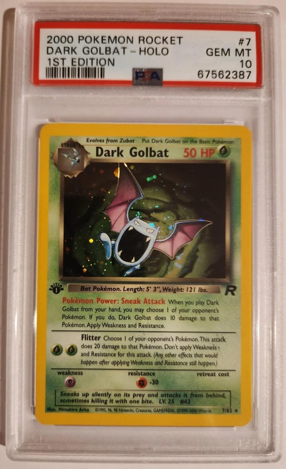 Dark Golbat