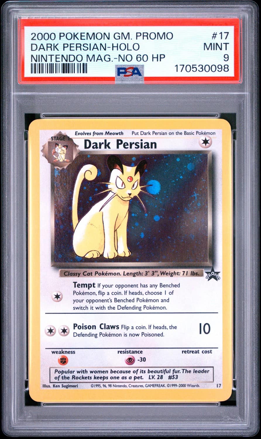 Dark Persian