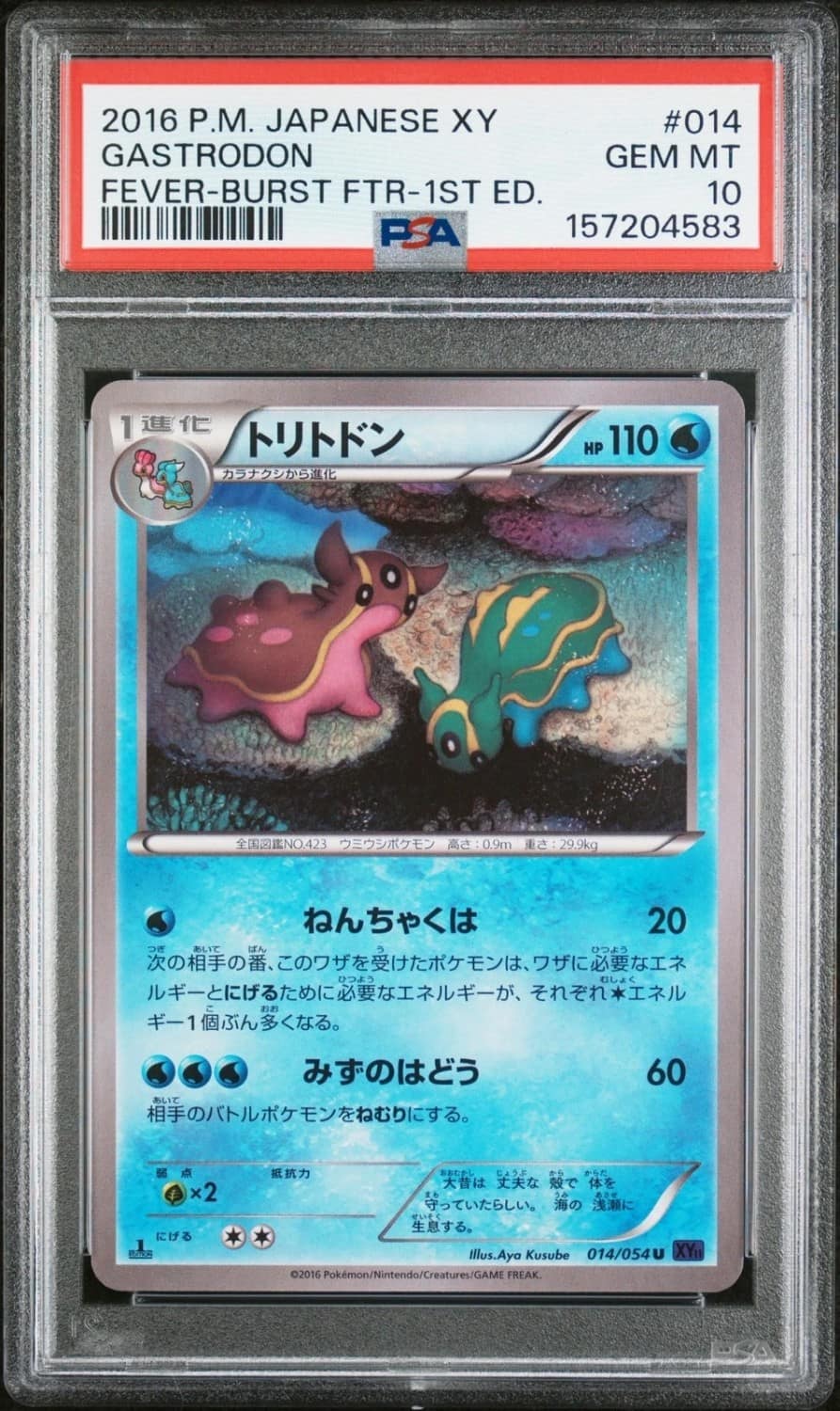 Gastrodon