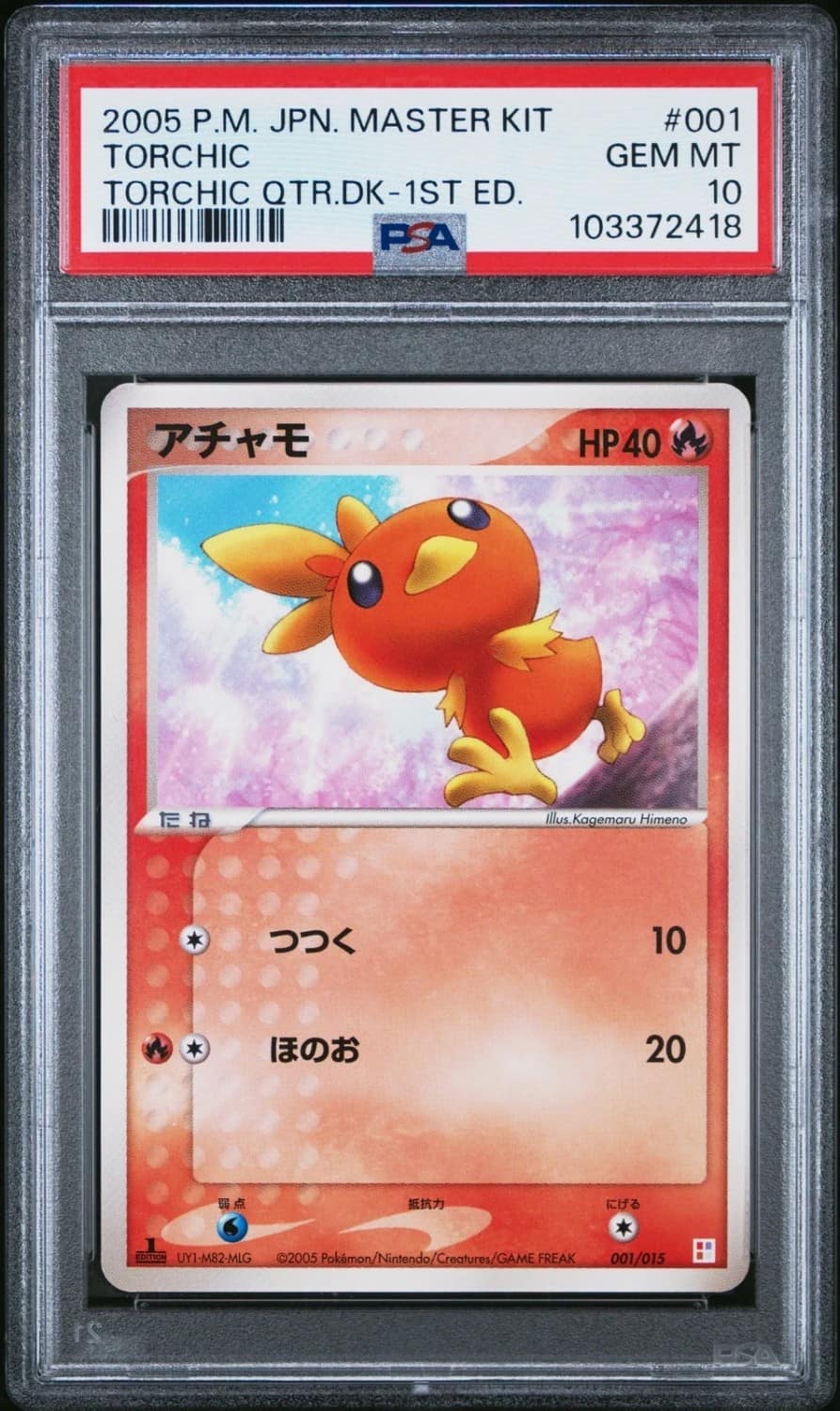 Torchic