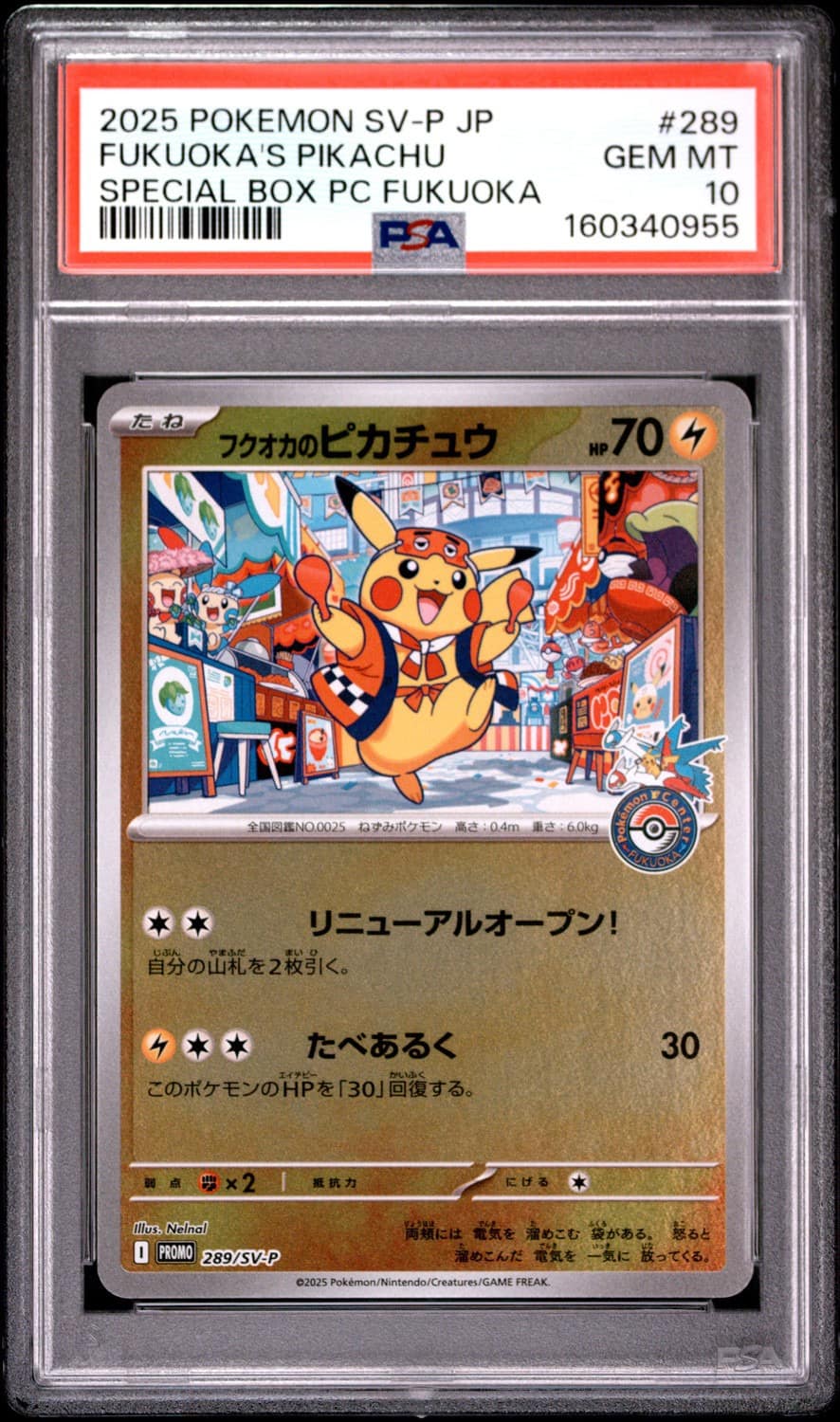 Fukuoka'S Pikachu