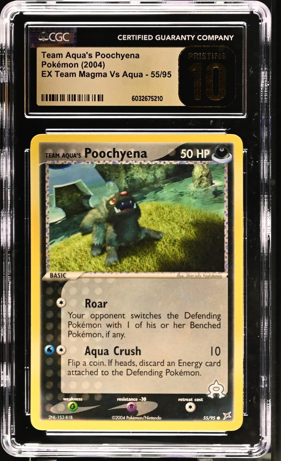Aqua'S Poochyena