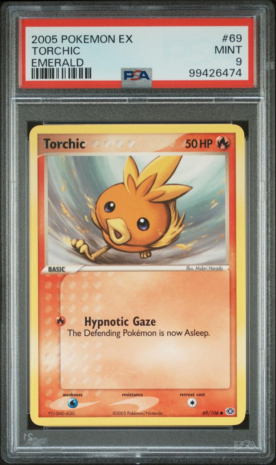 Torchic