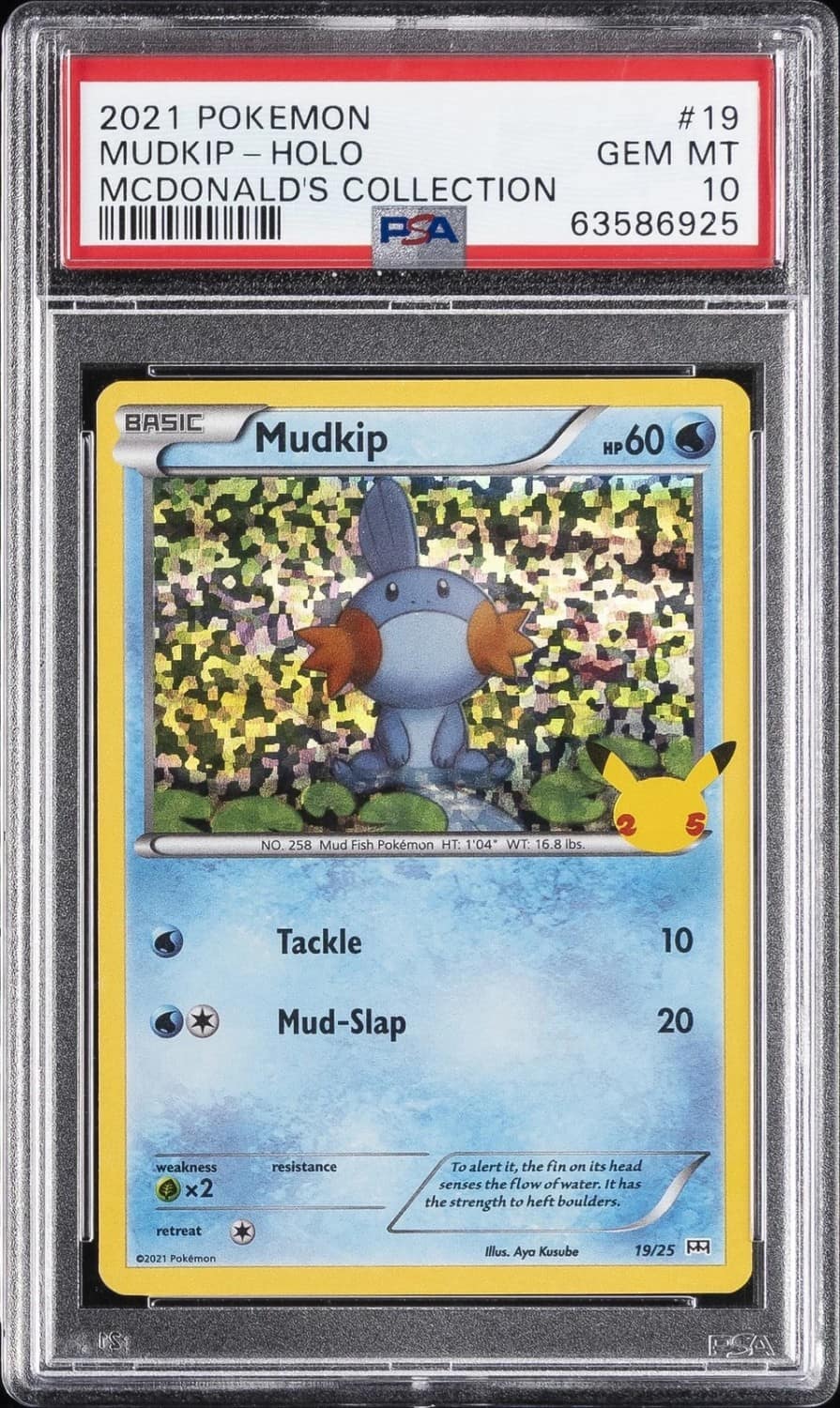Mudkip