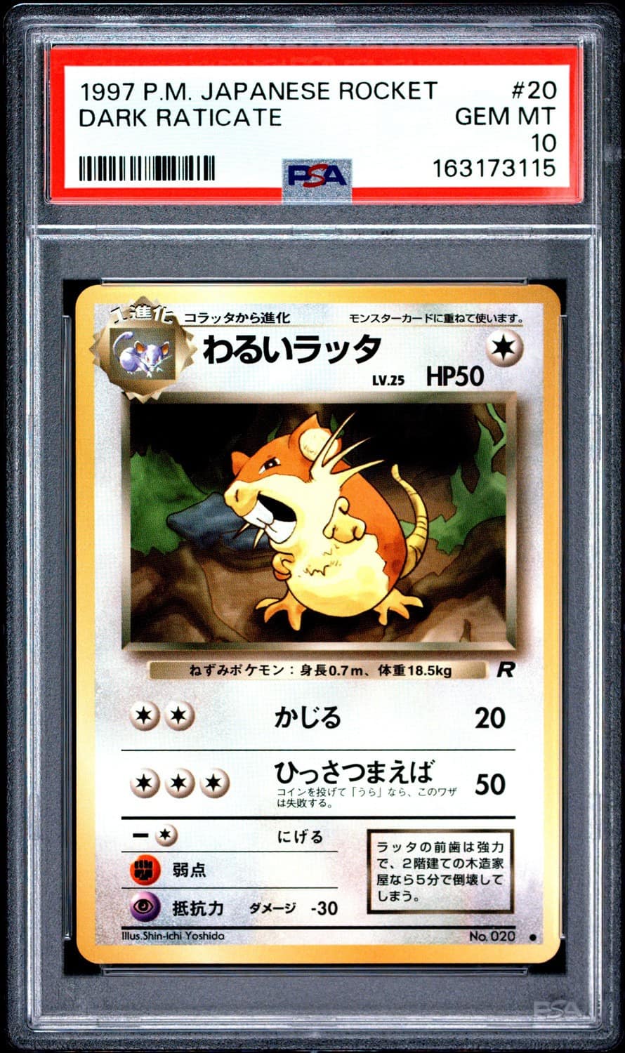 Dark Raticate