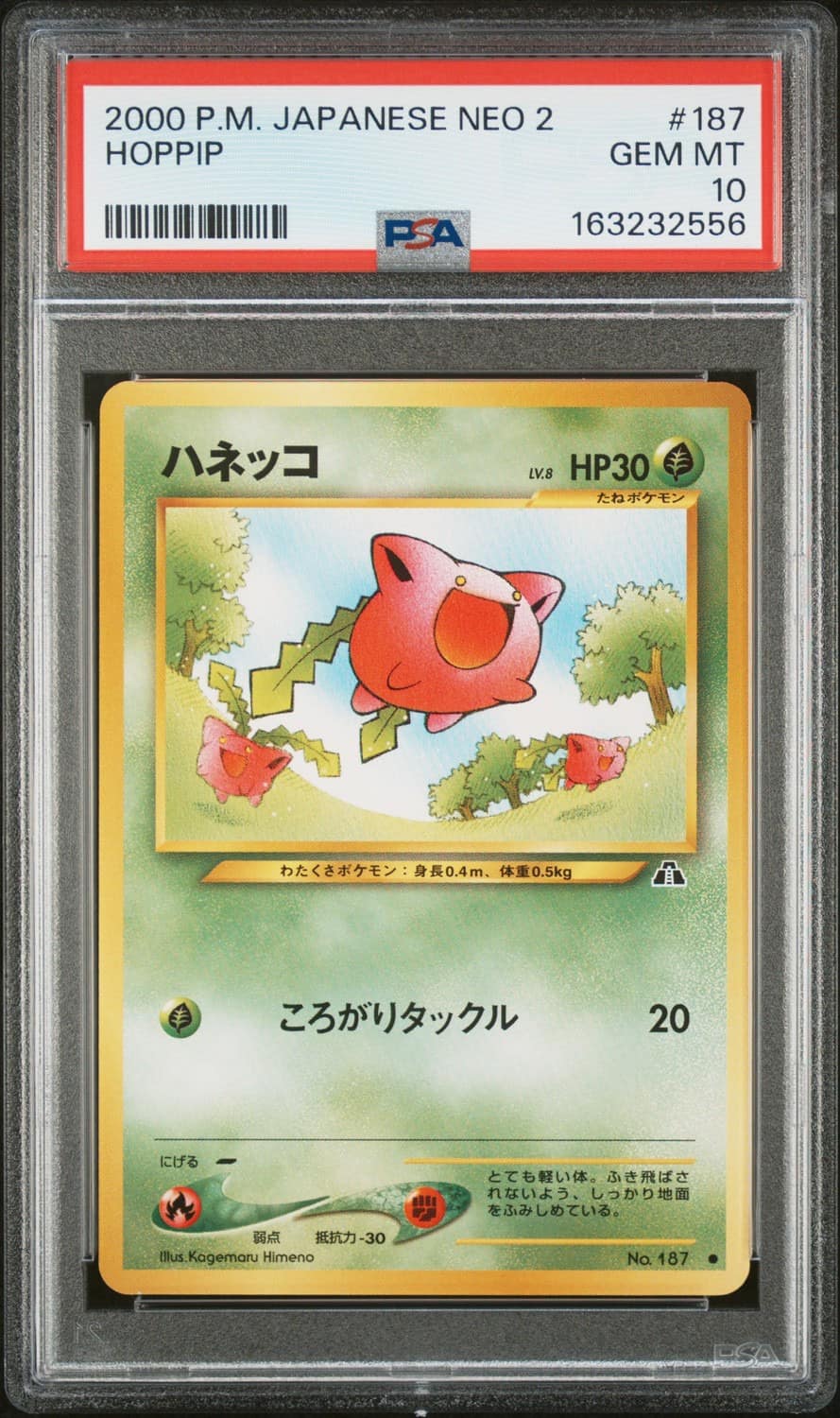 Hoppip