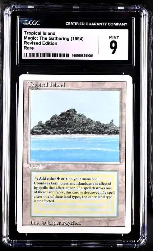 Tropical Island