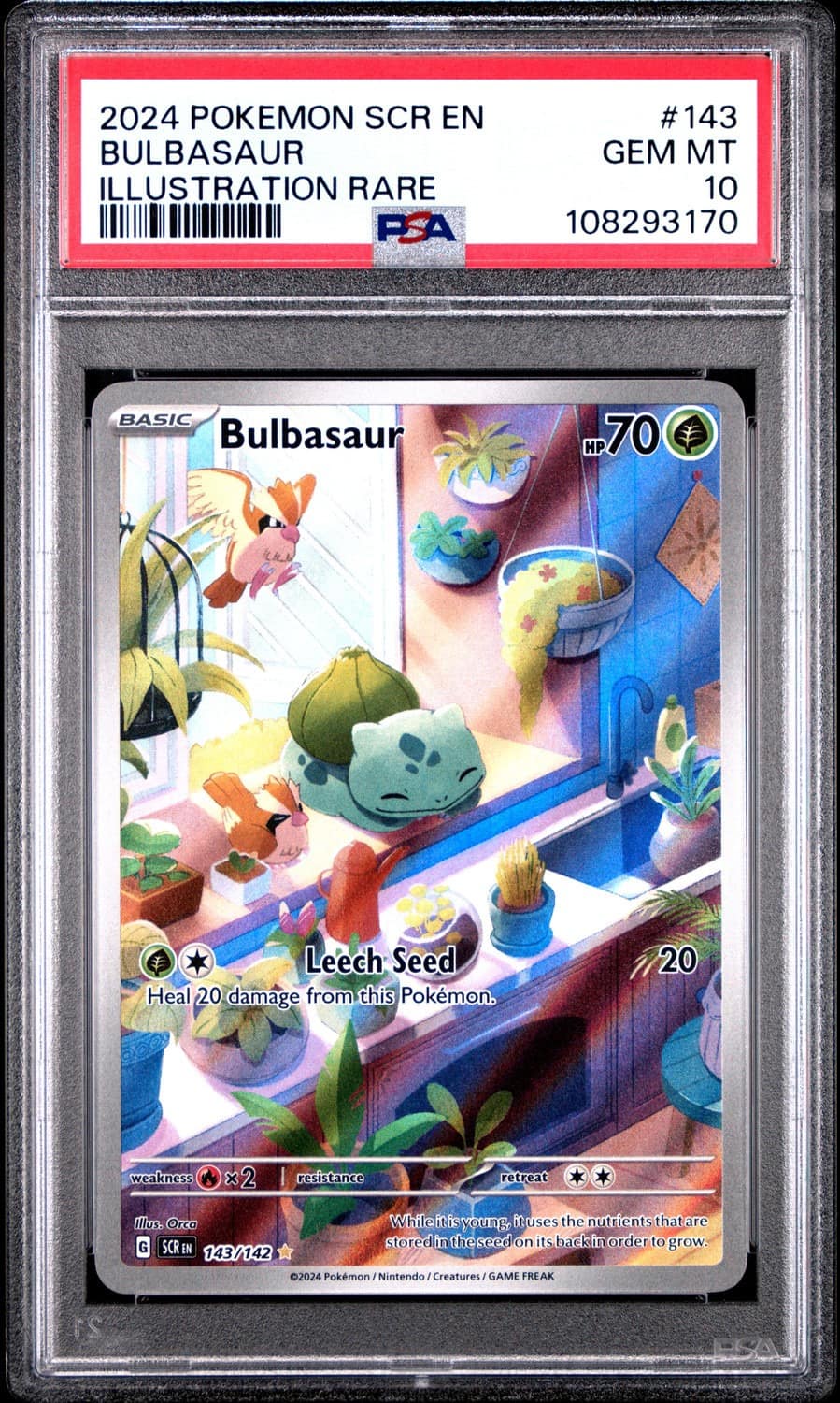 Bulbasaur