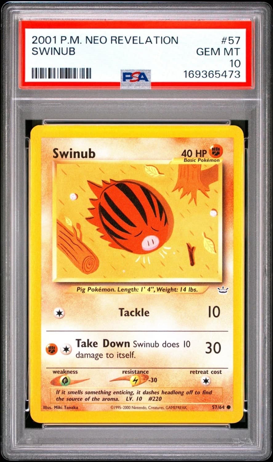 Swinub