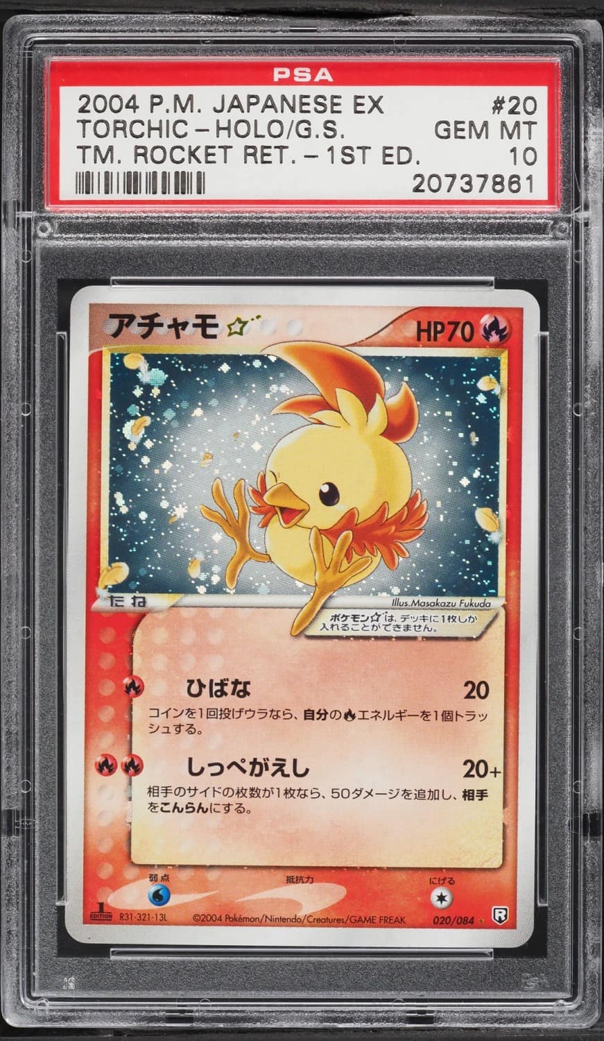 Torchic