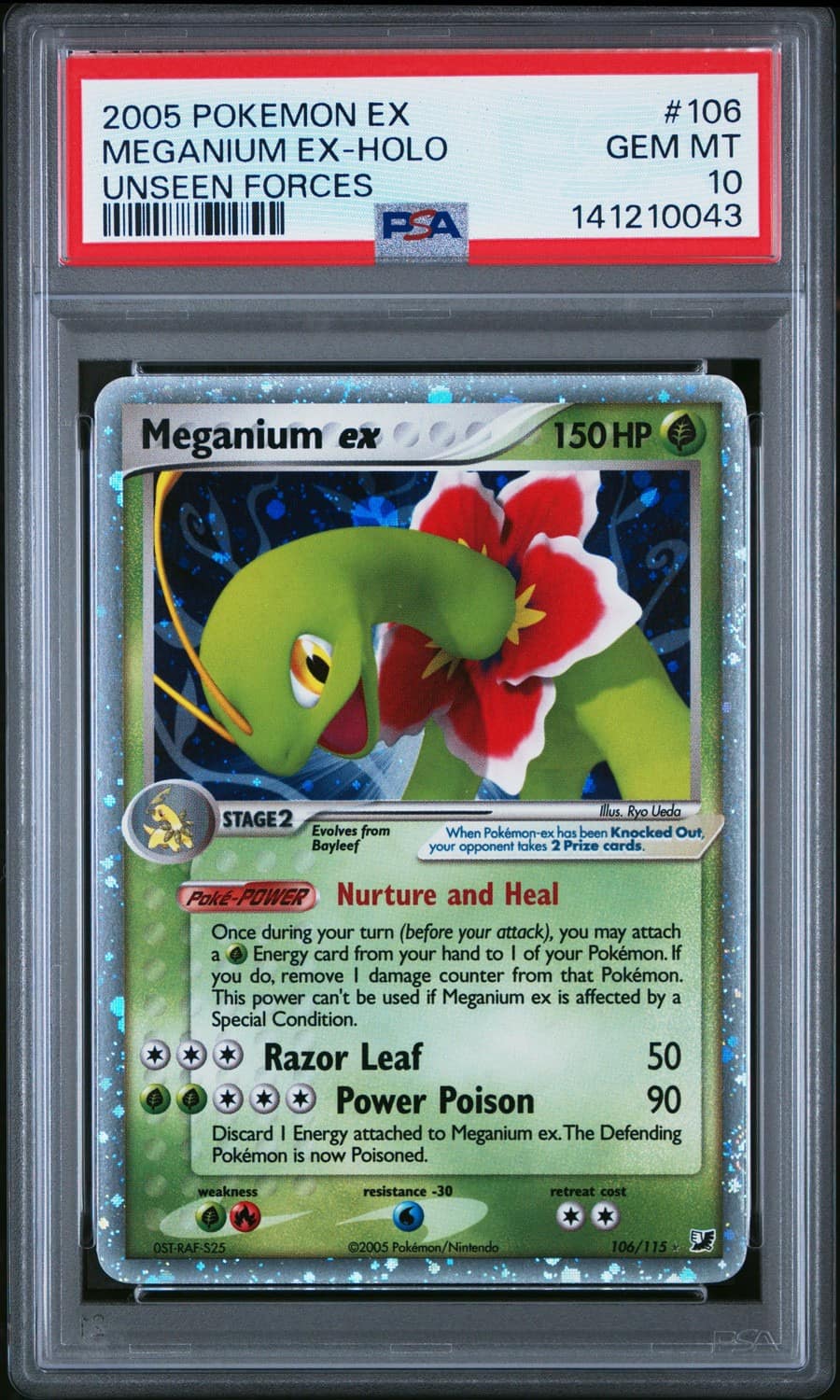 Meganium Ex