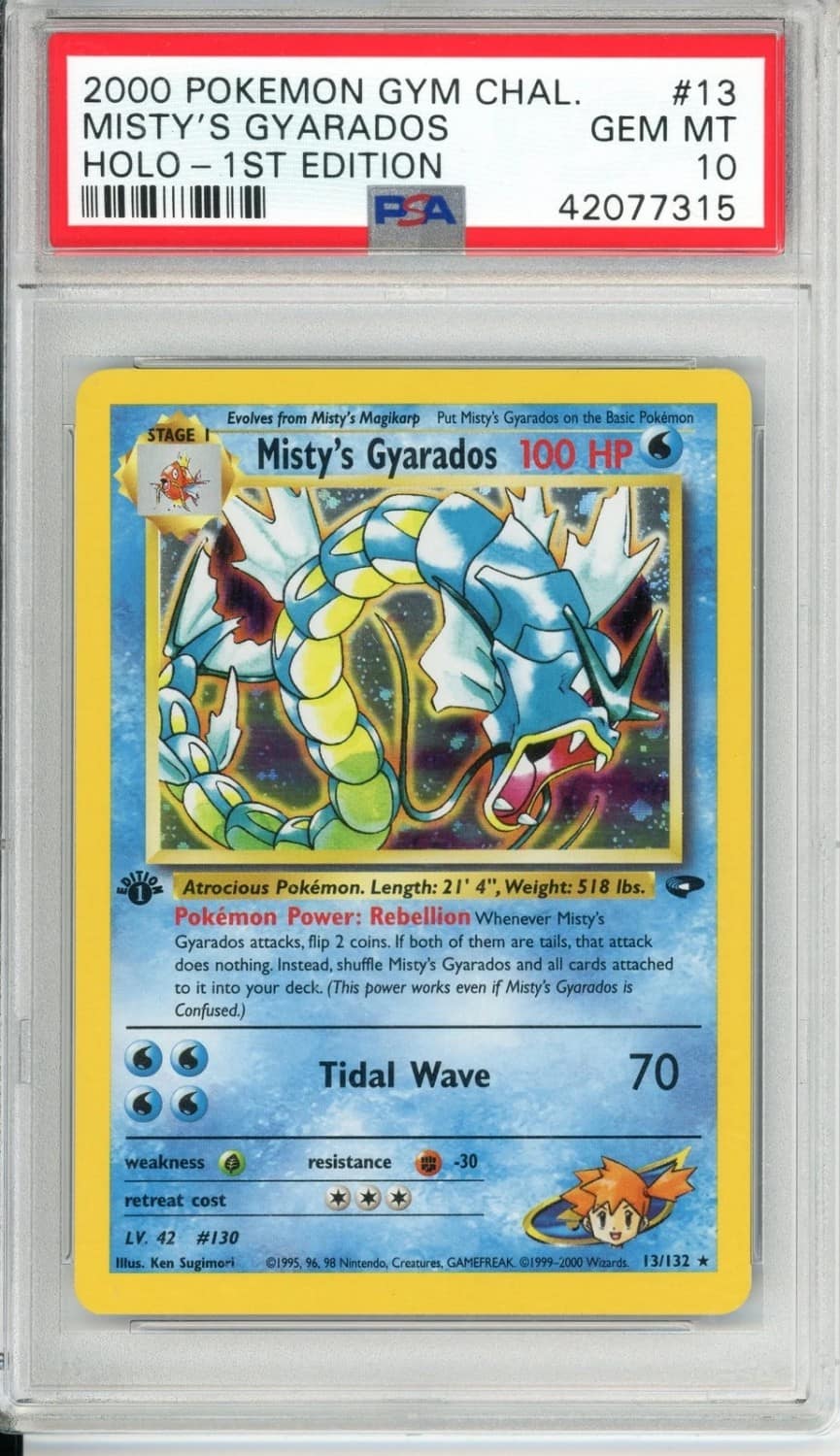 Misty'S Gyarados