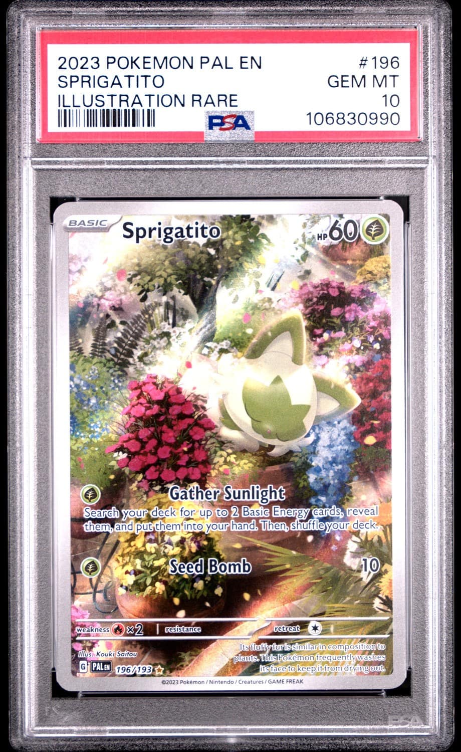 Sprigatito