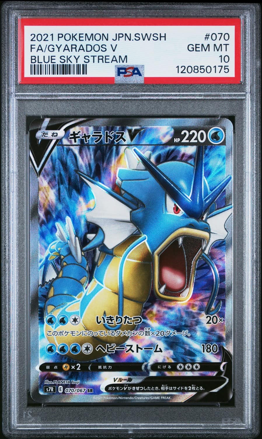 Gyarados V