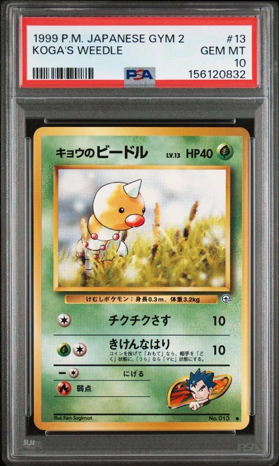 Koga'S Weedle