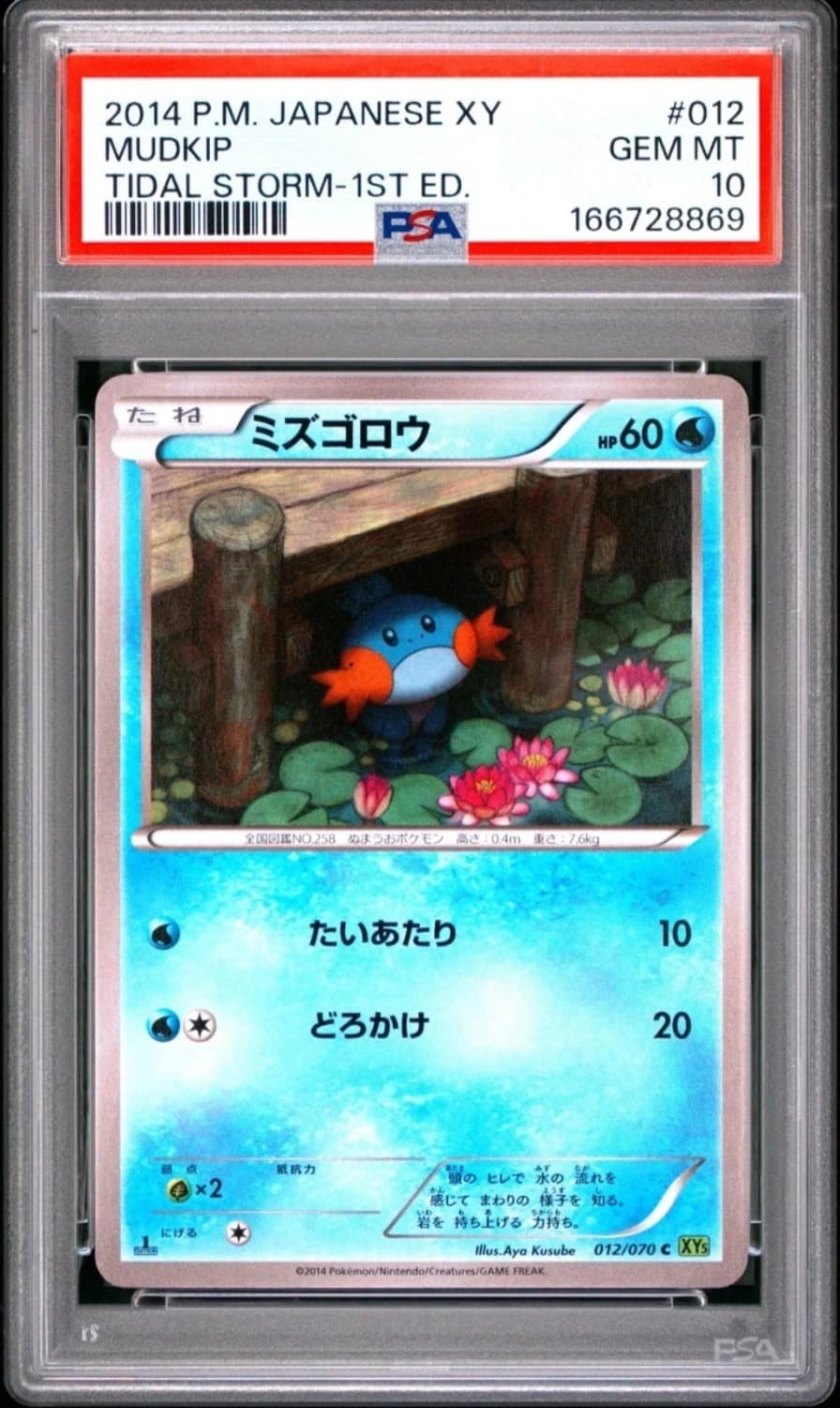 Mudkip