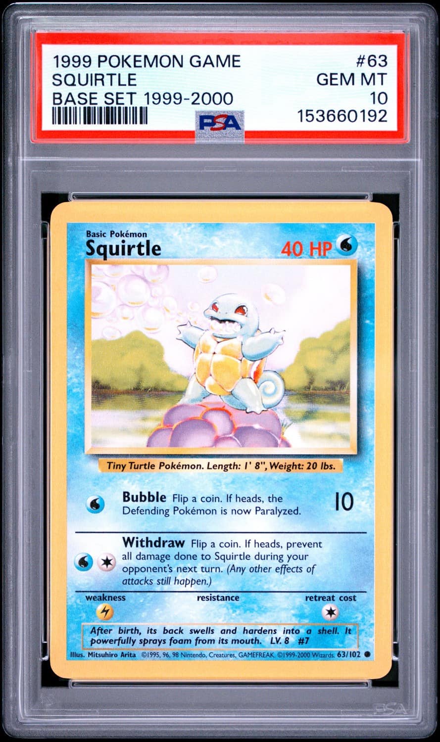 Squirtle