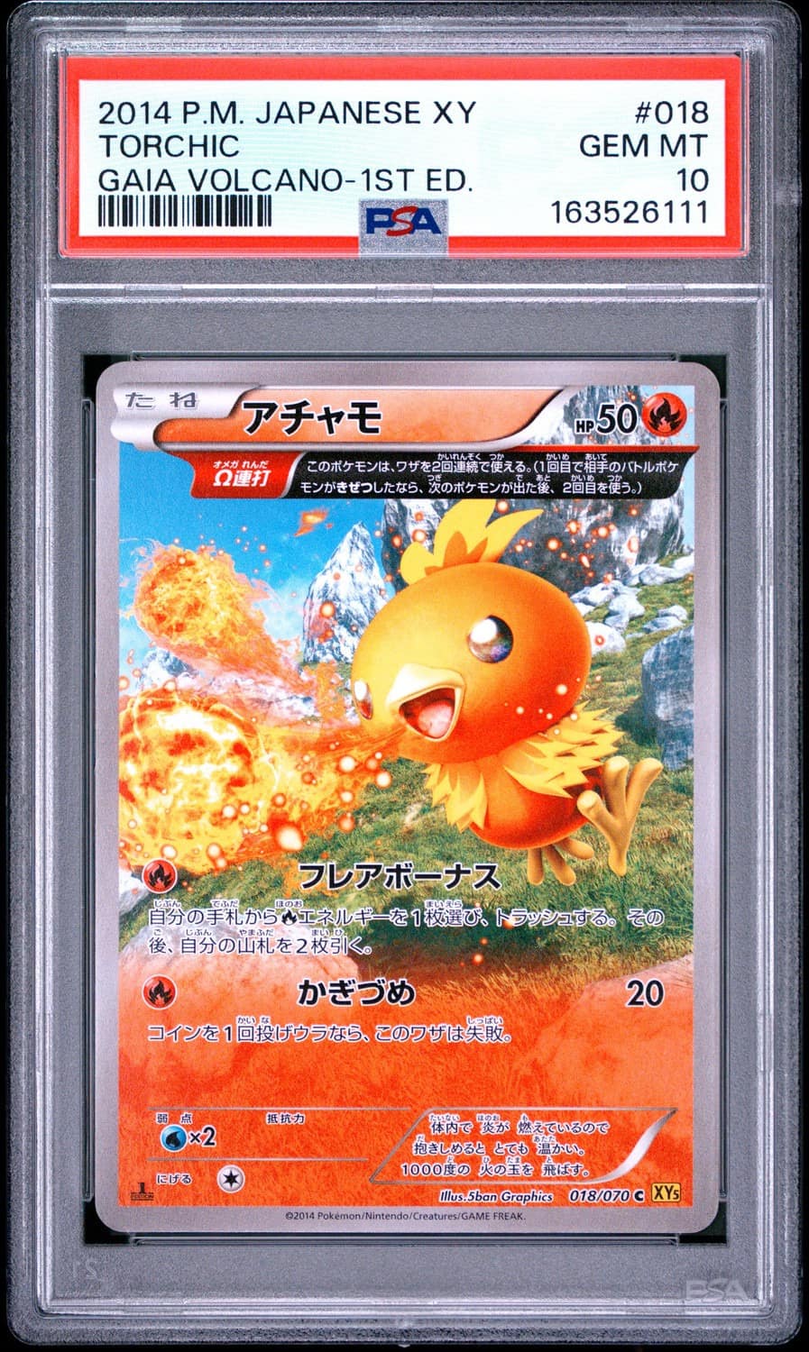 Torchic