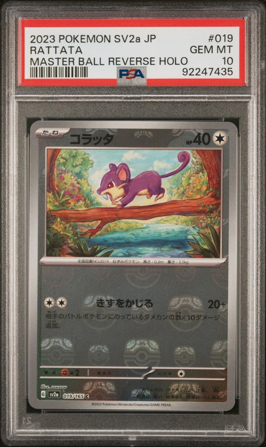 Rattata