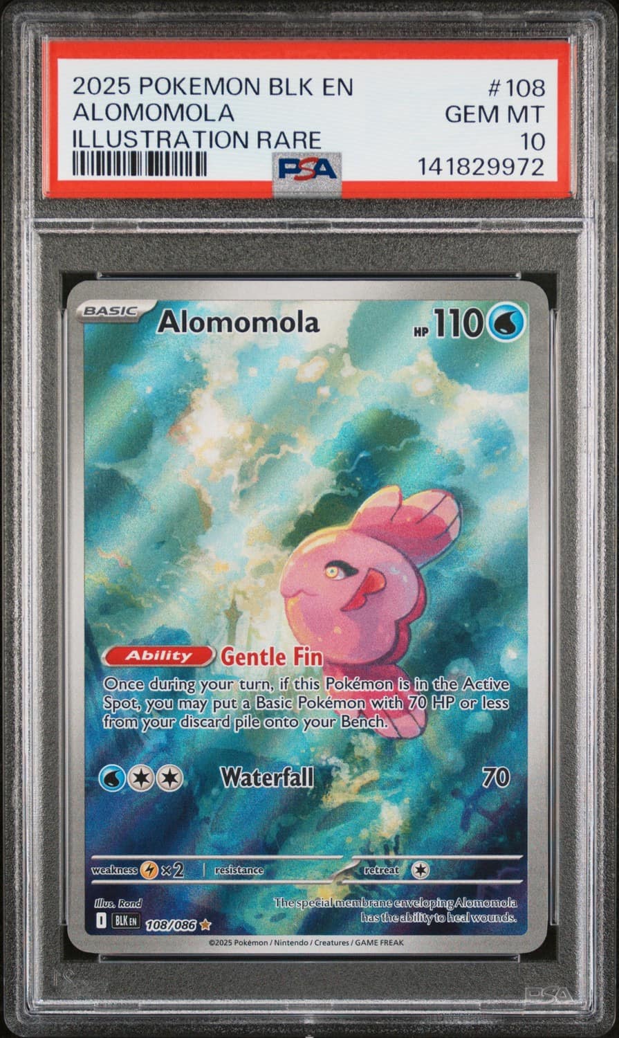 Alomomola