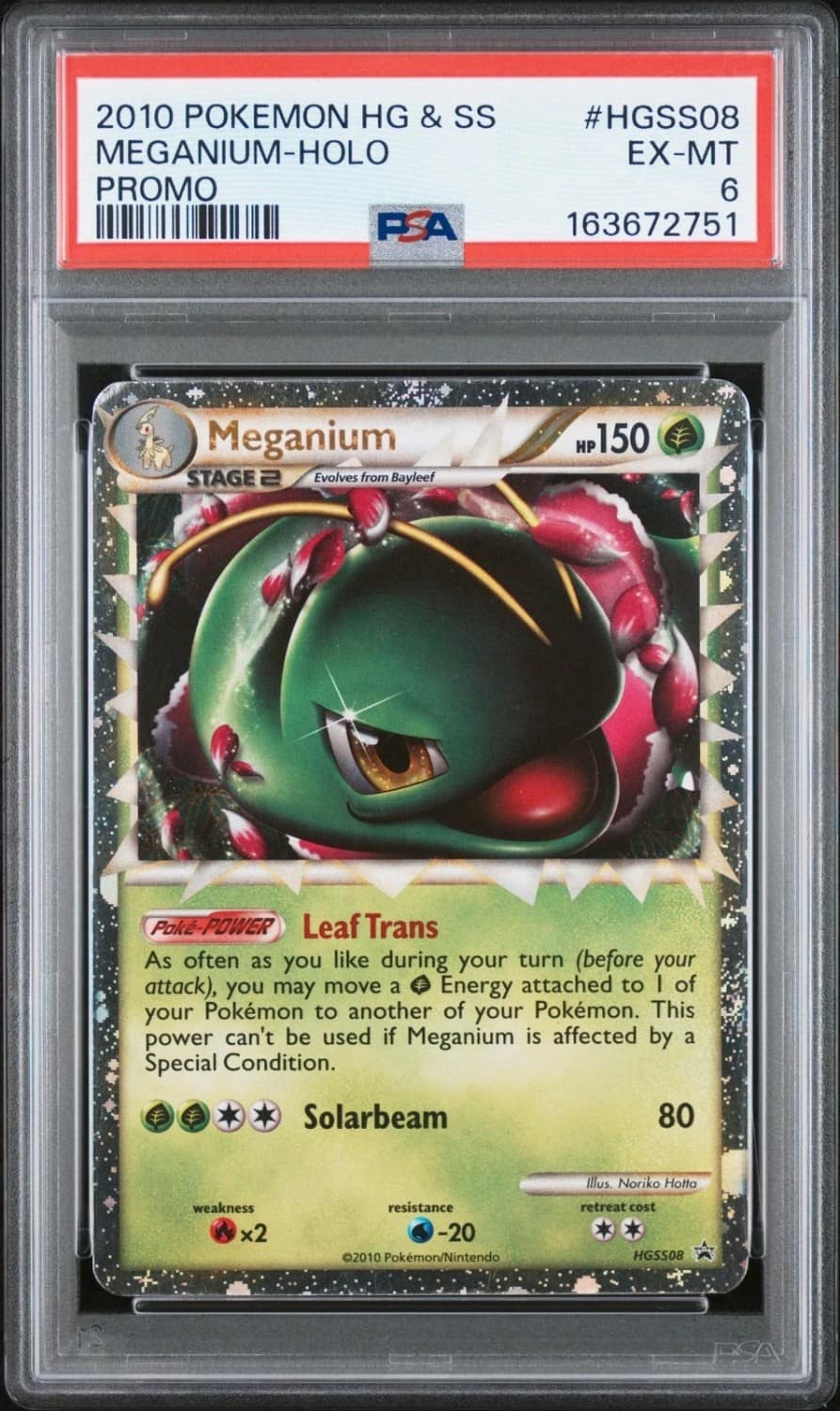 Meganium