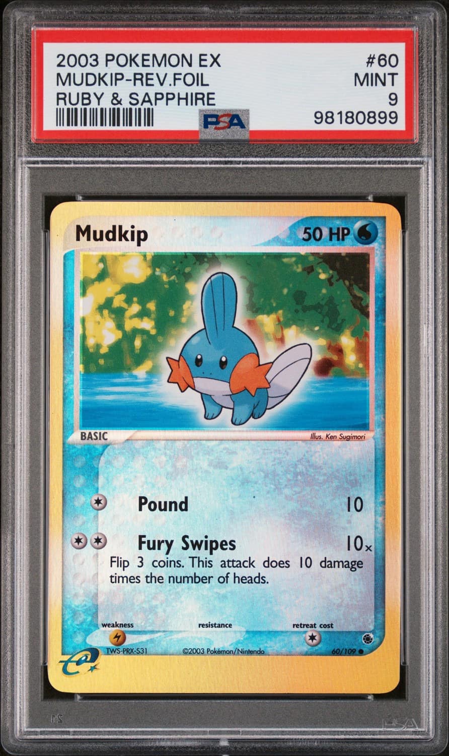 Mudkip