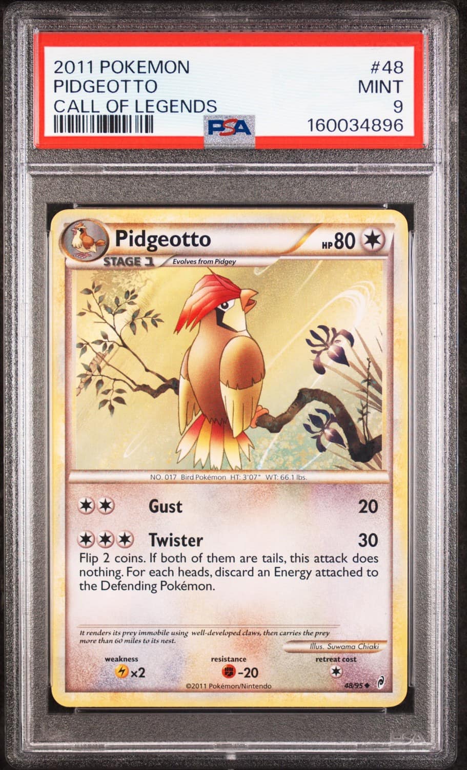 Pidgeotto