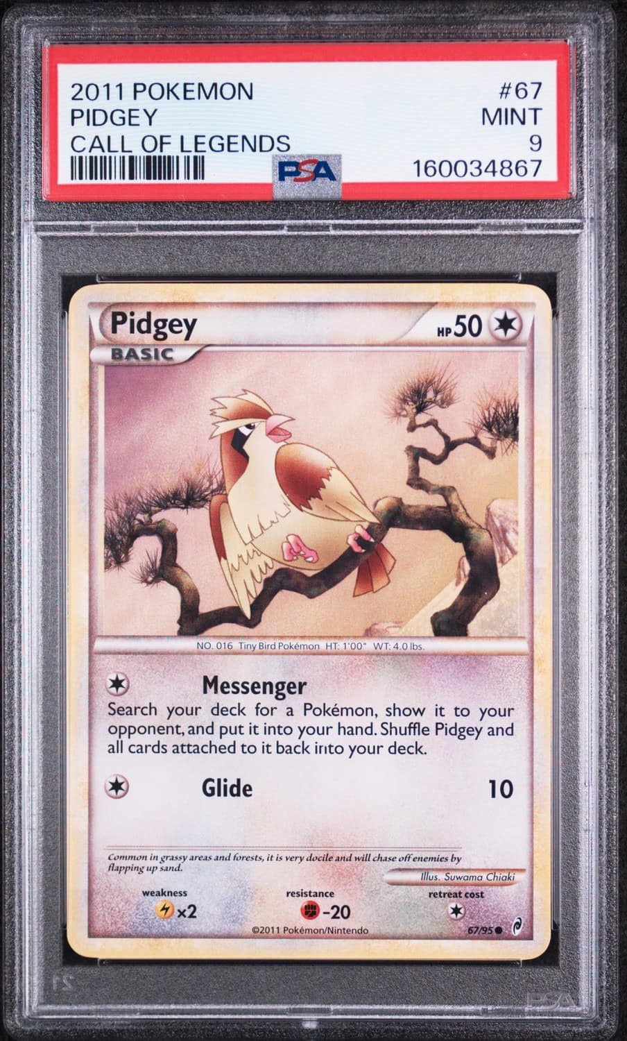 Pidgey