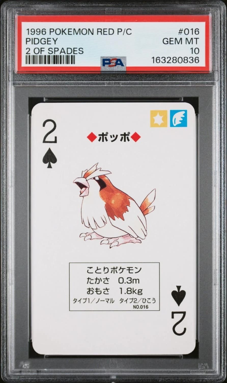 Pidgey