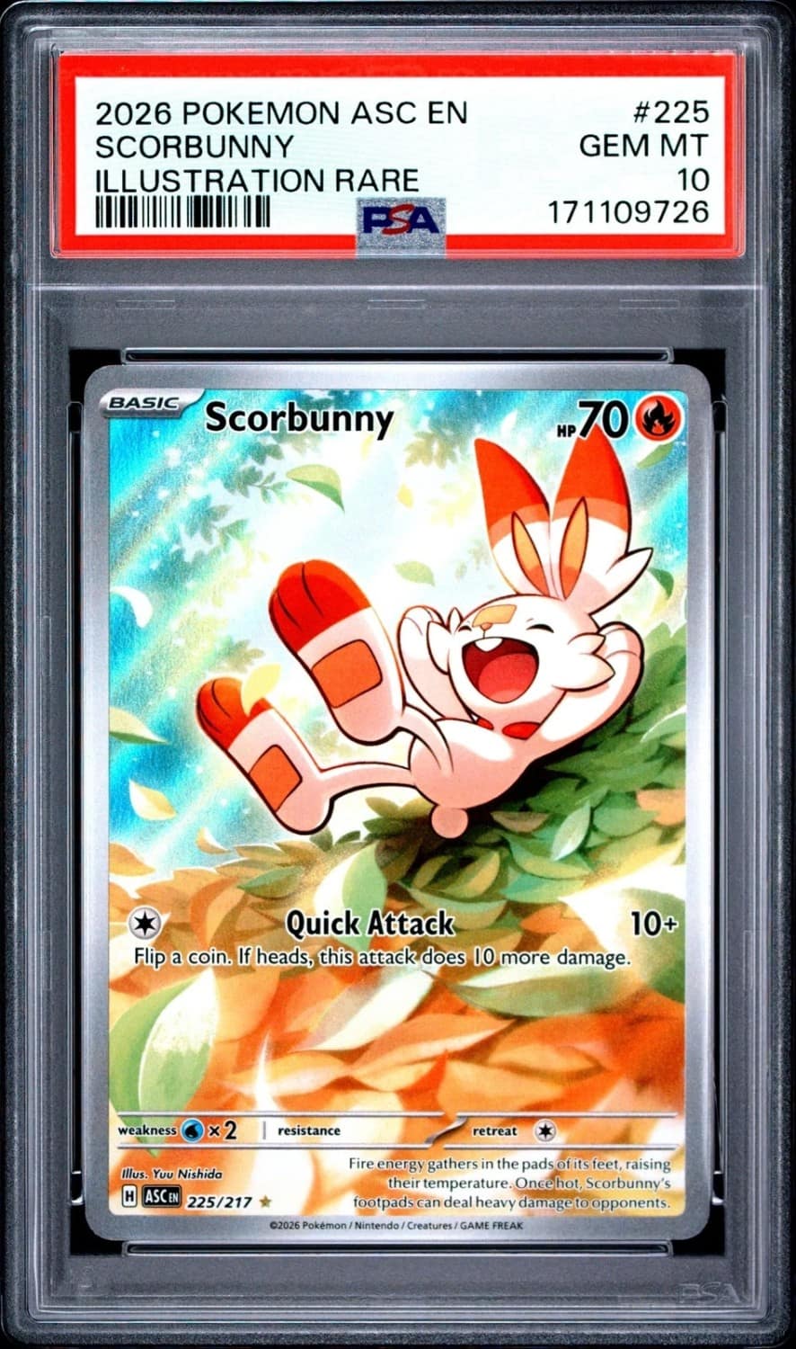 Scorbunny