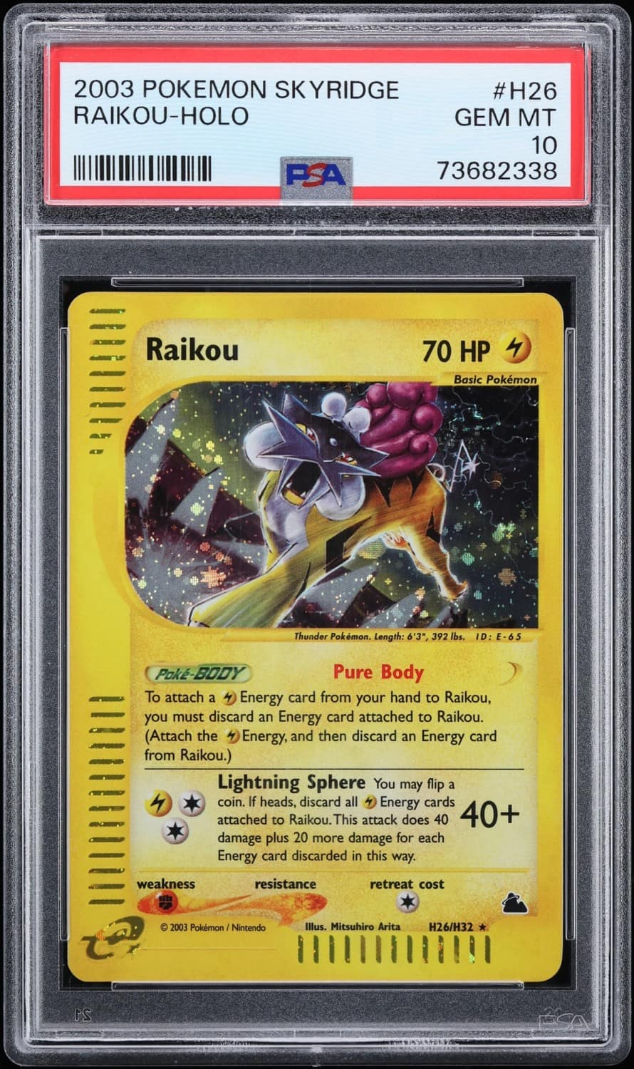 Raikou