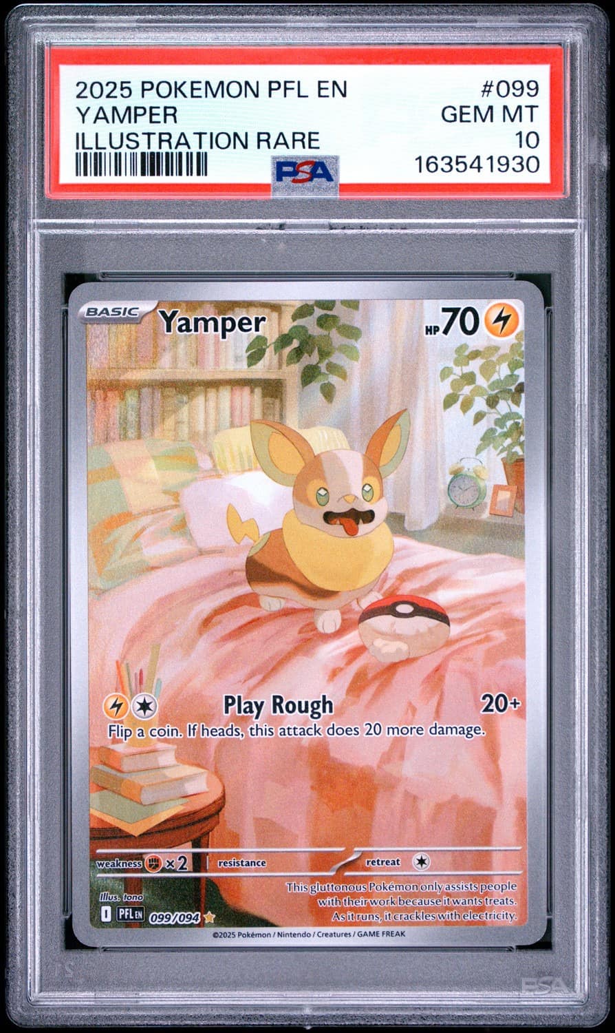 Yamper
