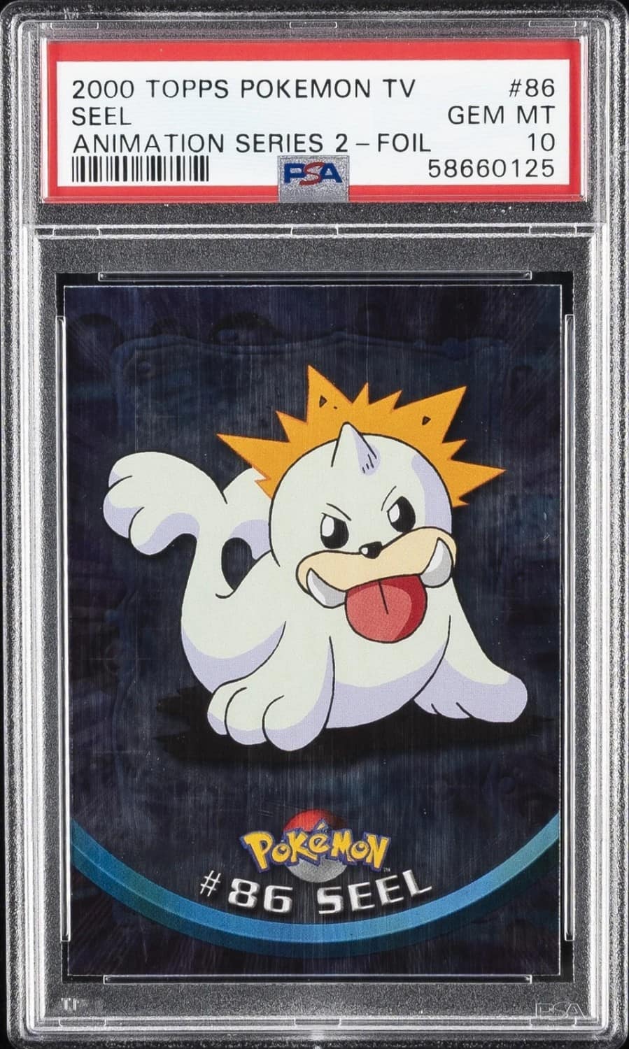 Seel