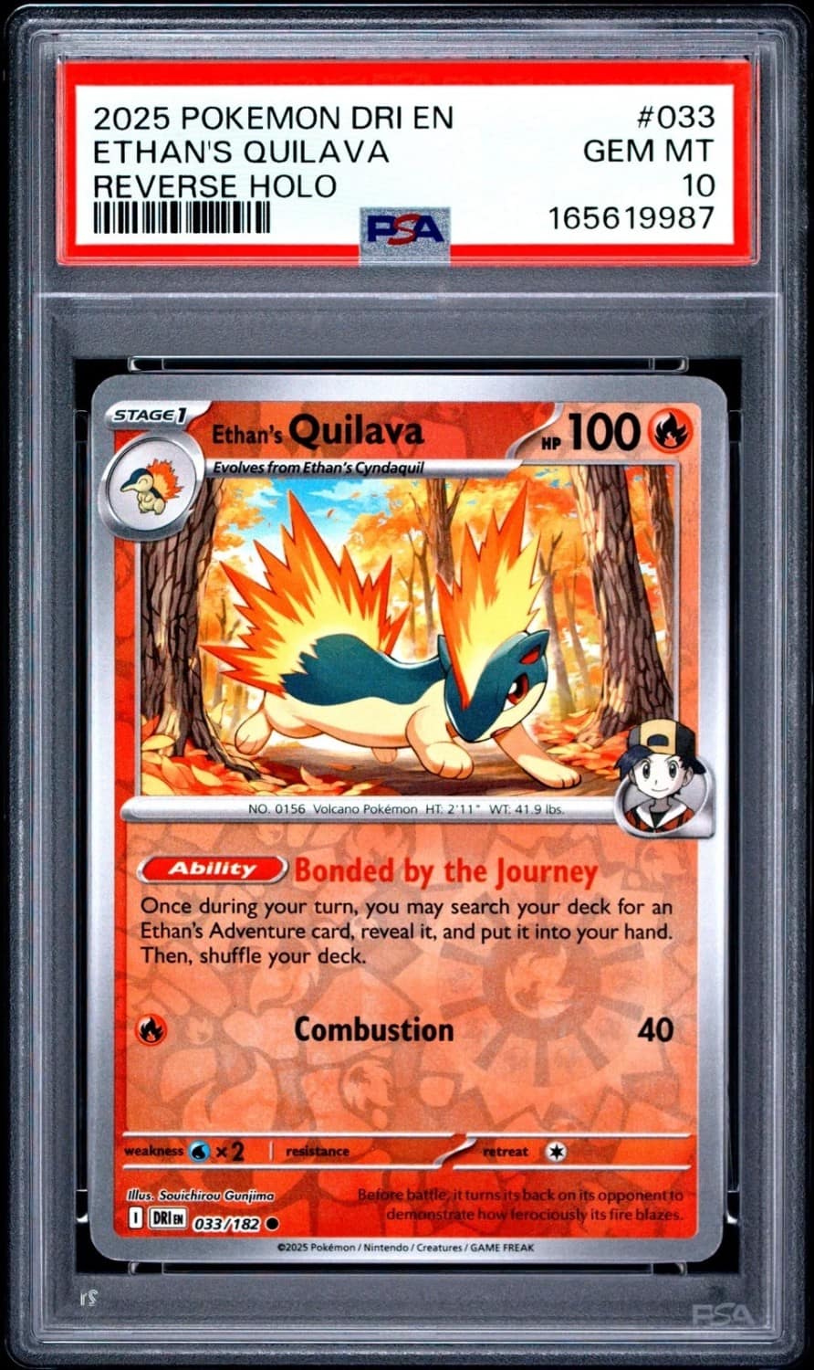 Ethan'S Quilava