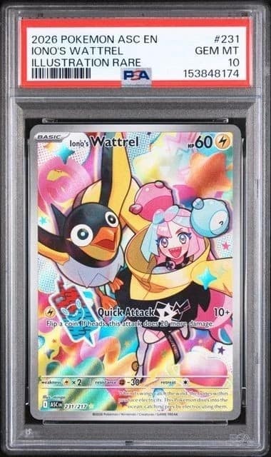 Iono'S Wattrel
