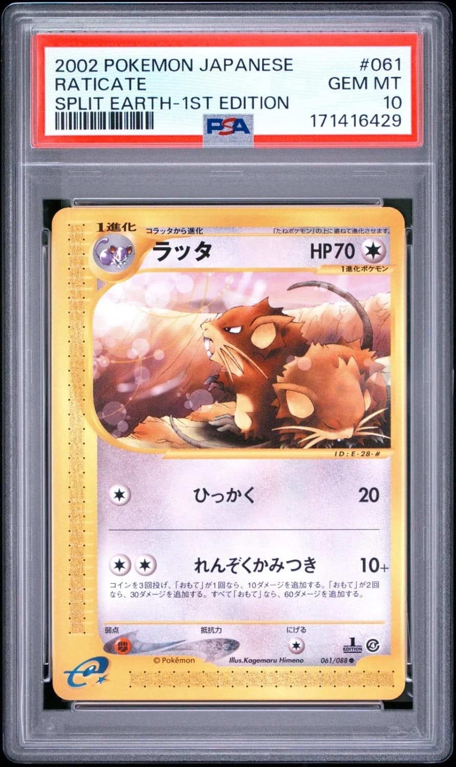 Raticate