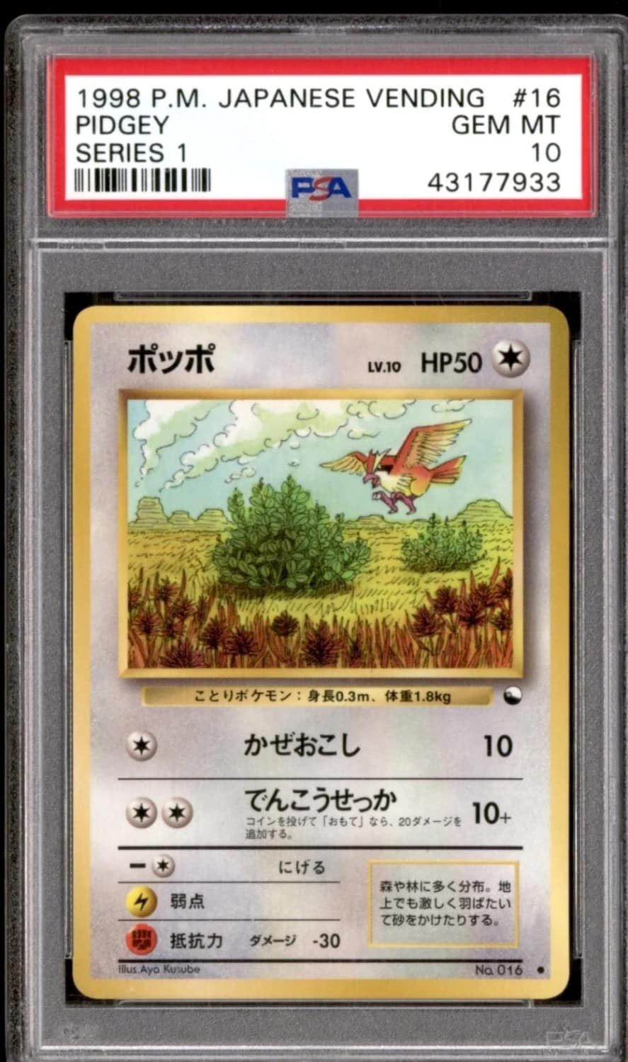 Pidgey