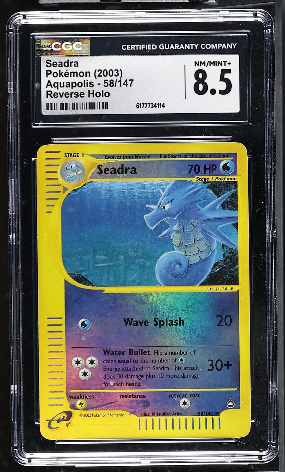 Seadra