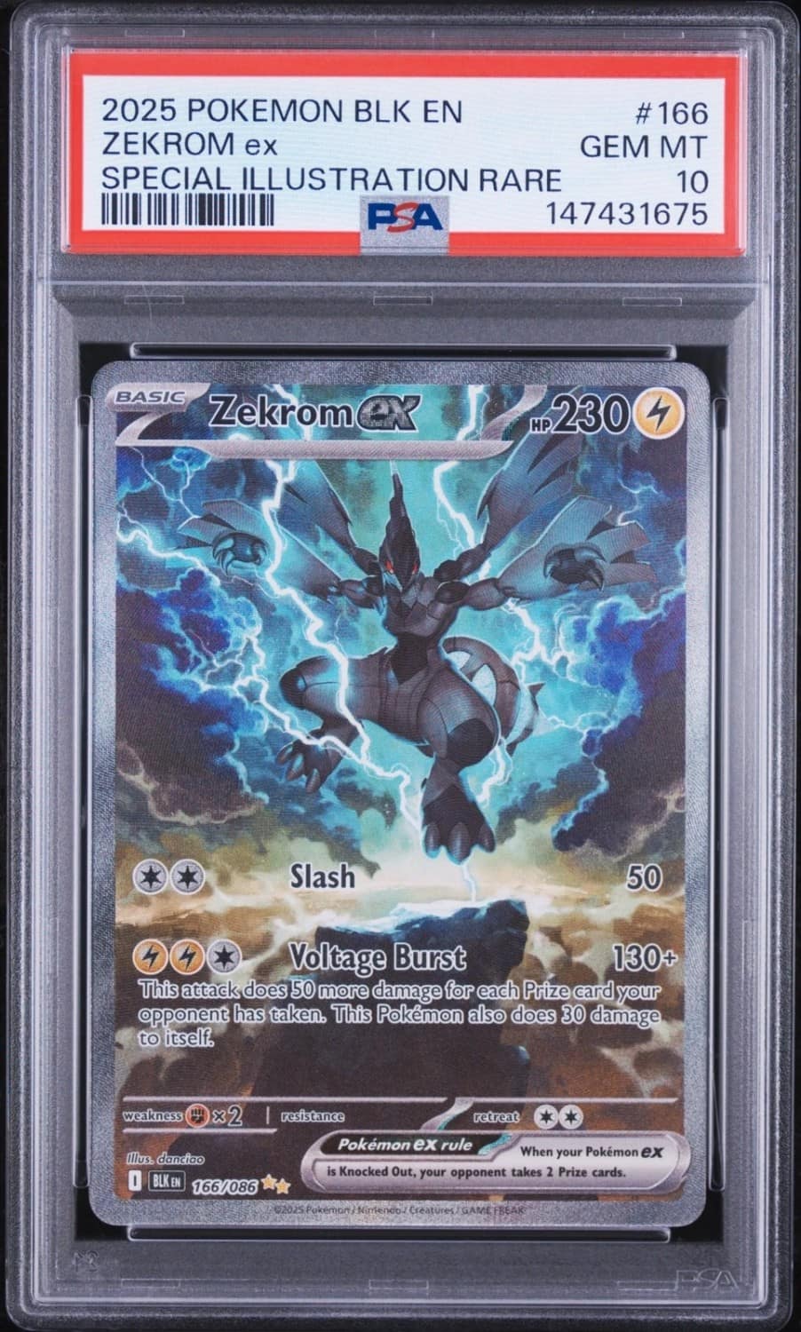 Zekrom Ex