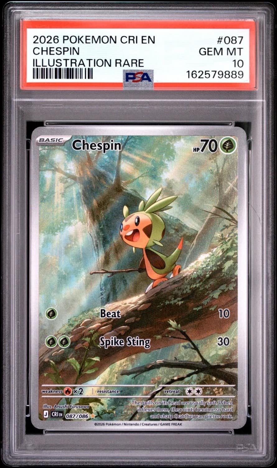 Chespin