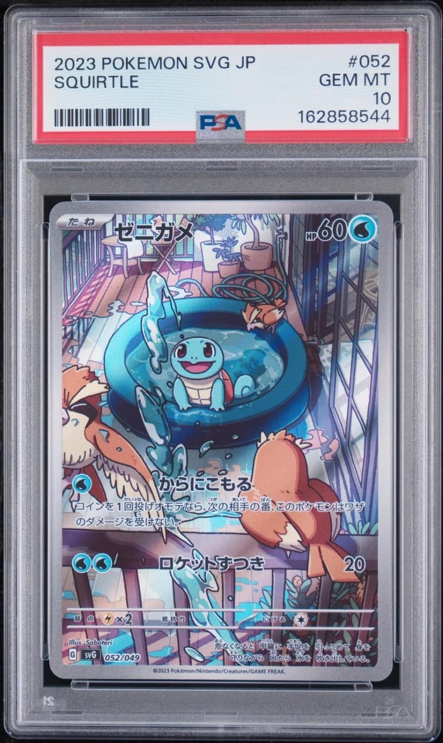 Squirtle
