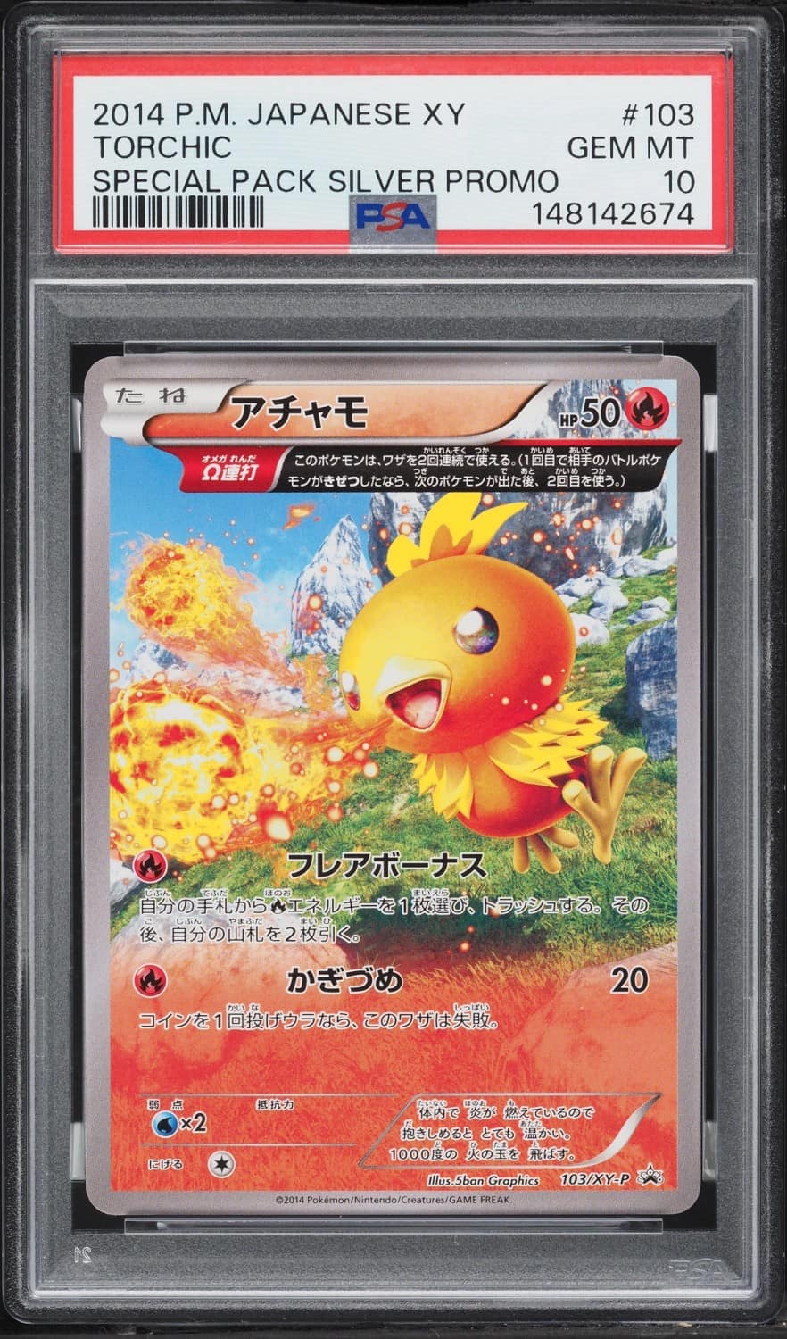 Torchic