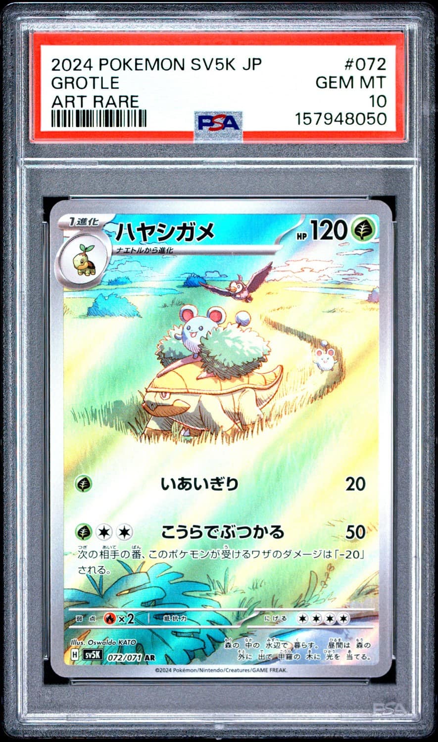 Grotle