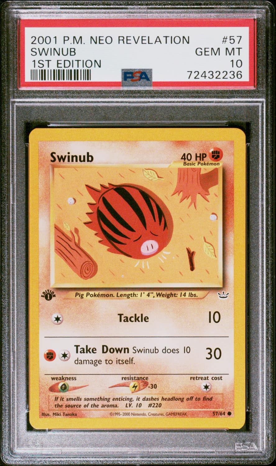 Swinub