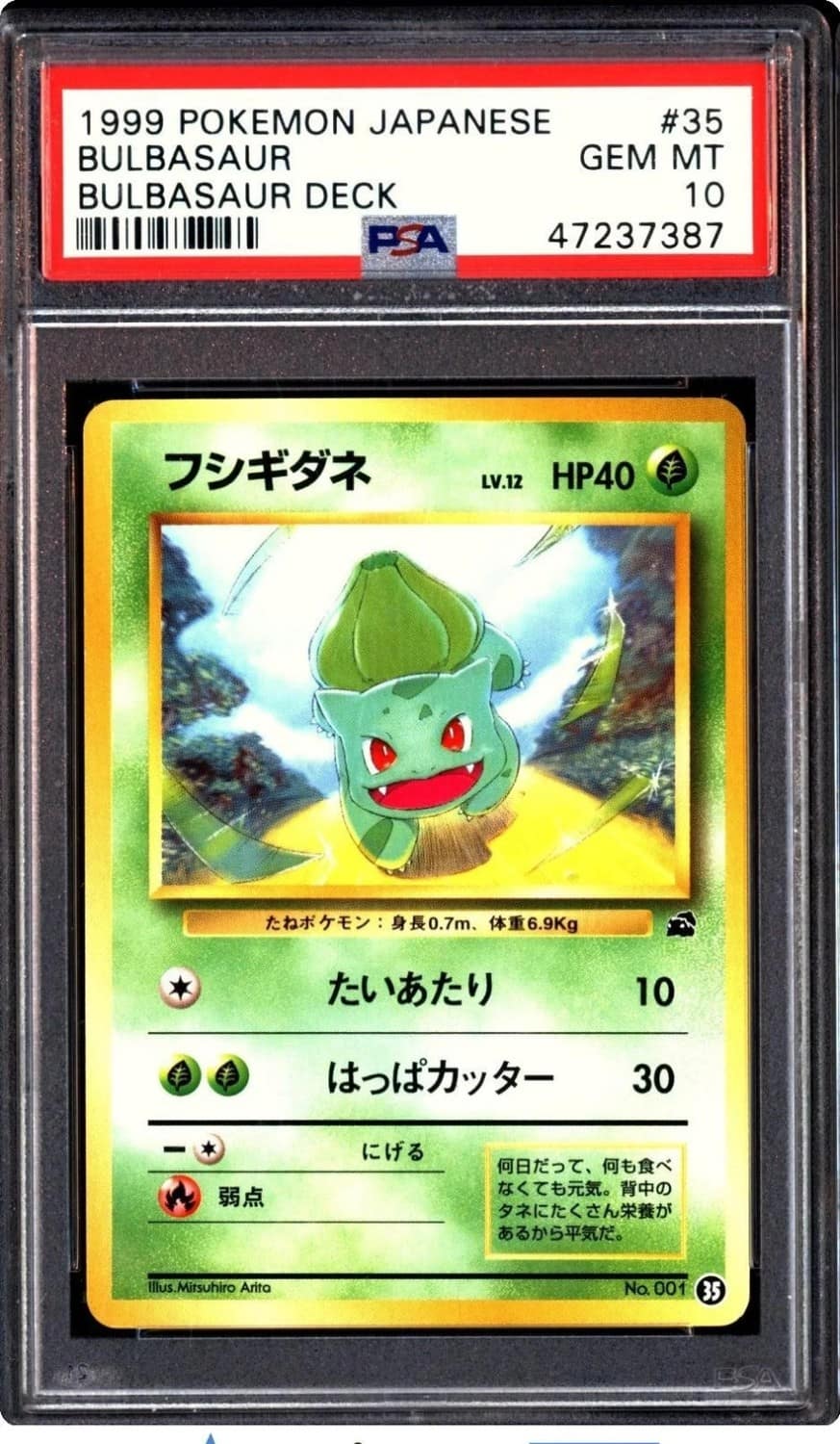 Bulbasaur