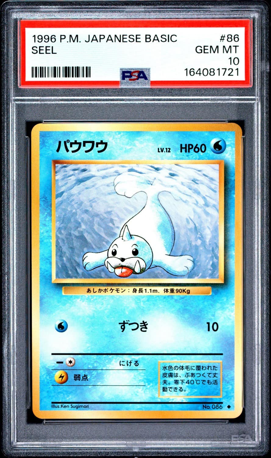 Seel