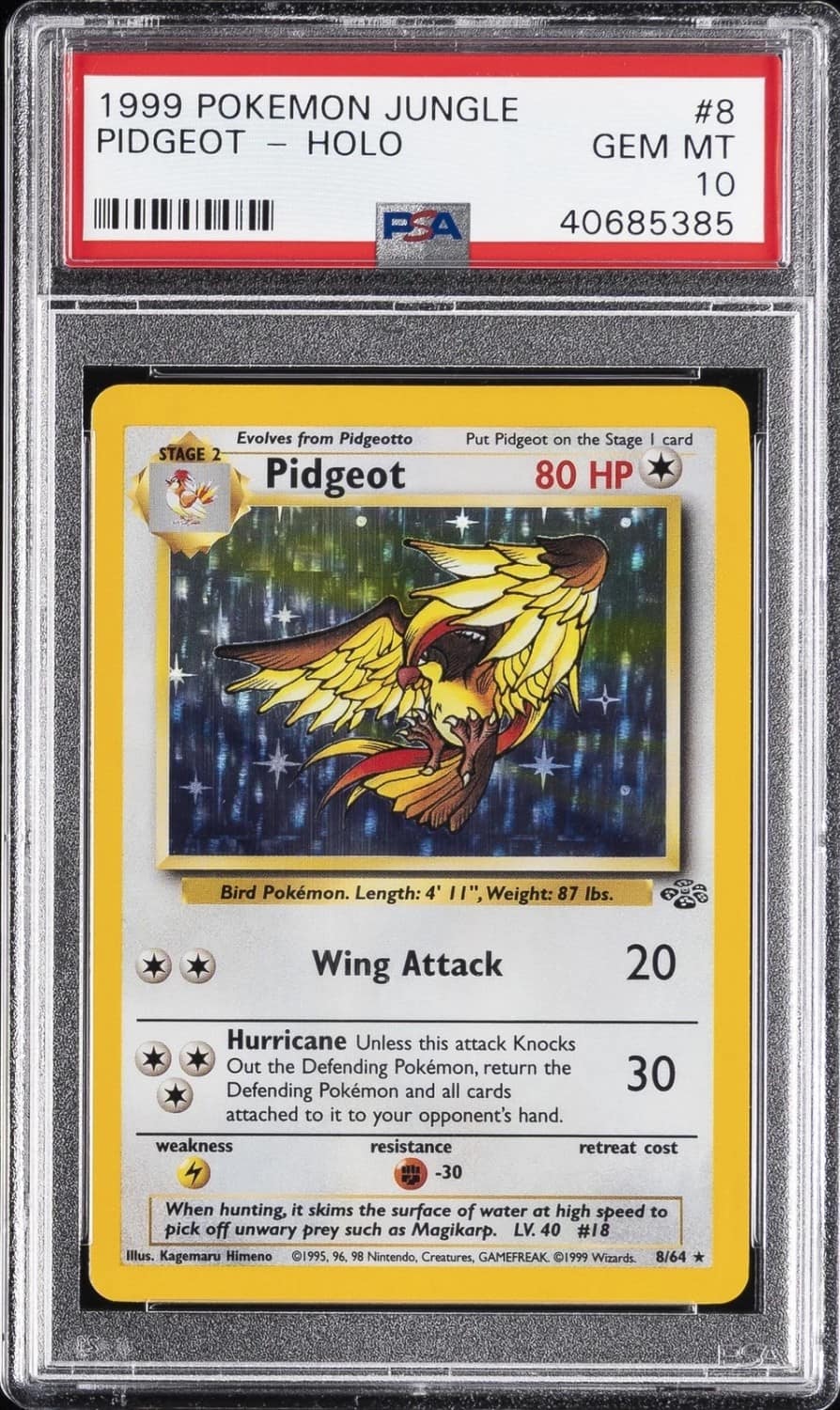 Pidgeot