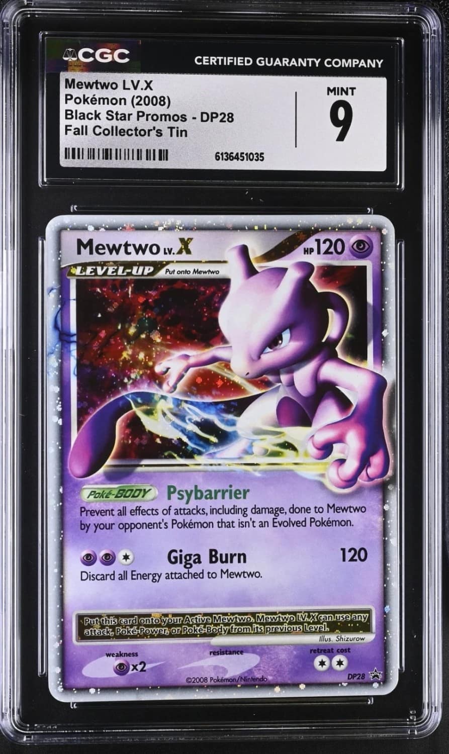 Mewtwo Lv X