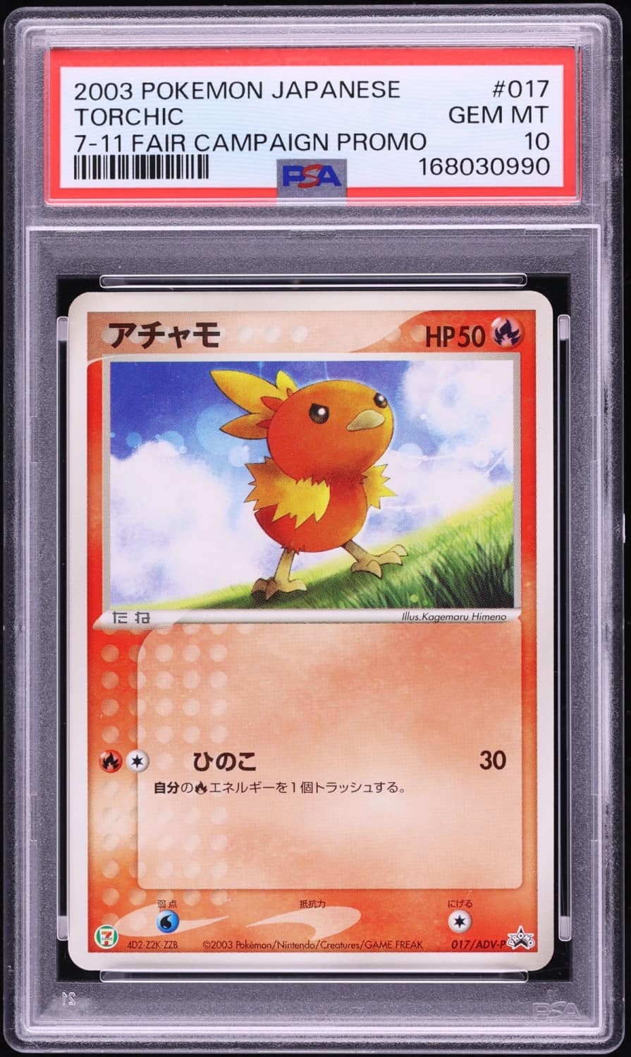Torchic